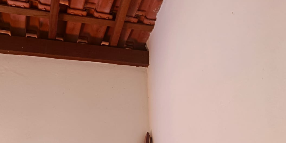 21SITIO JORGE