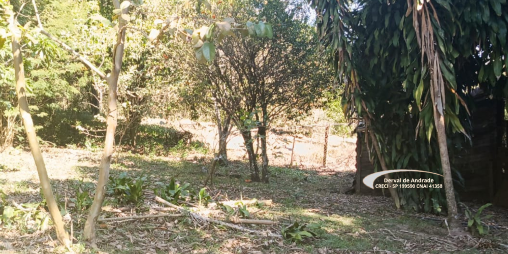 4 SITIO JORGE