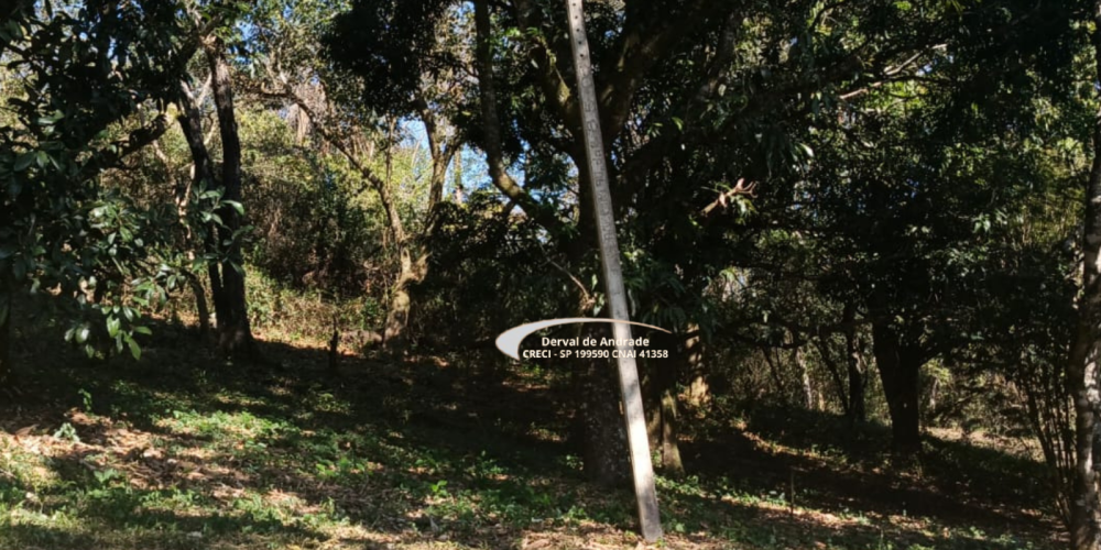 6 SITIO JORGE