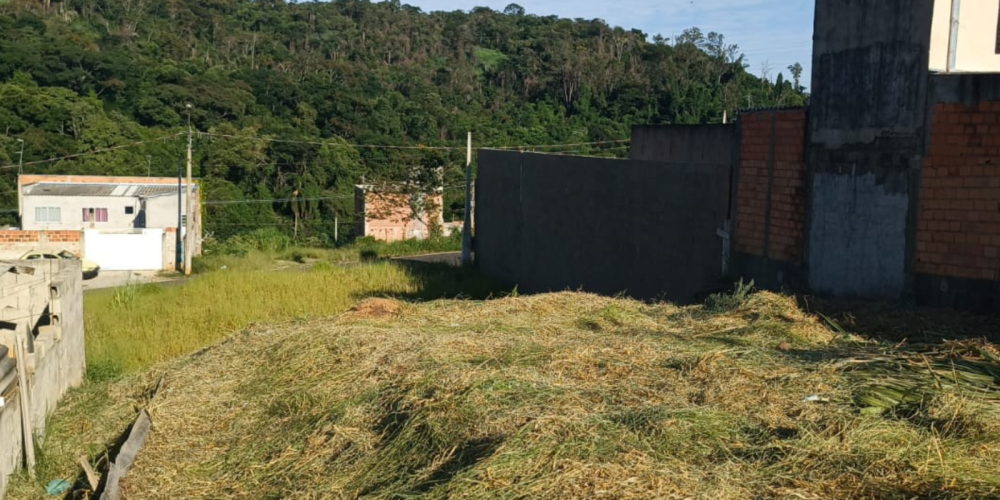 TIAGO SITE 10