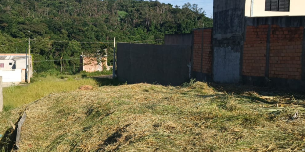 TIAGO SITE 11