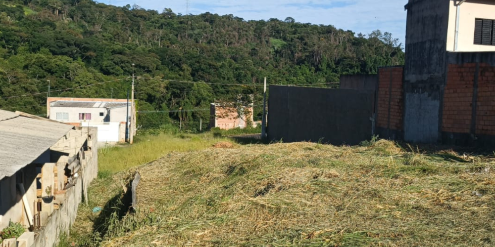 TIAGO SITE 12