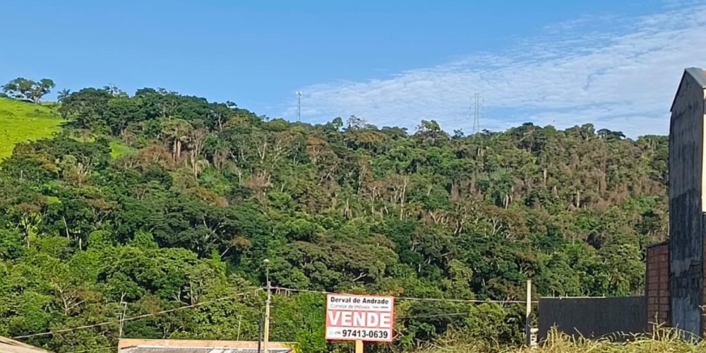 TIAGO SITE 19