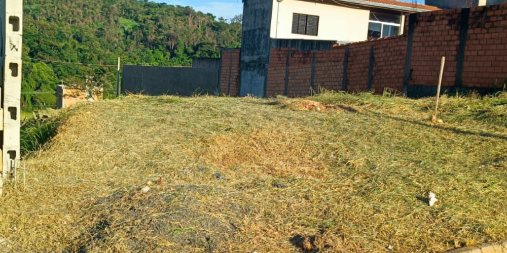 TIAGO SITE 27
