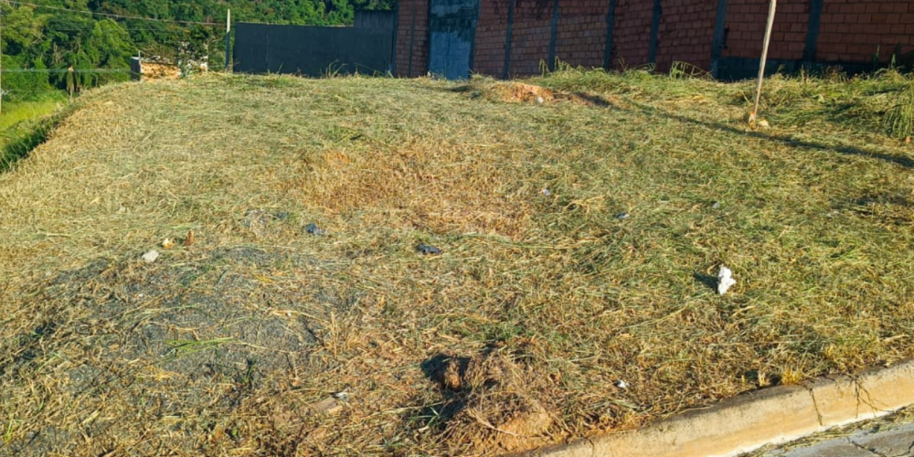 TIAGO SITE 28