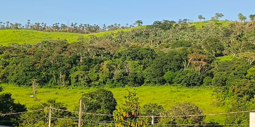 TIAGO SITE 34