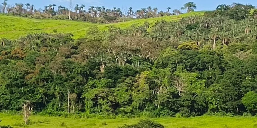 TIAGO SITE 6