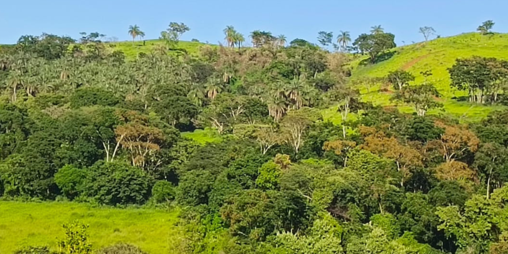 TIAGO SITE 7