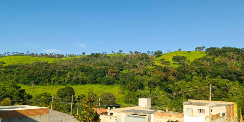 TIAGO SITE 8